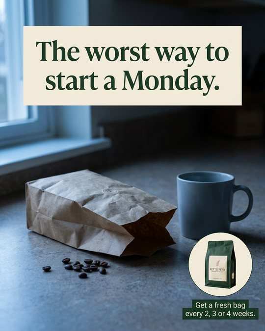 D2: The worst way to start a Monday. (Get a fresh bag every 2, 3 or 4 weeks.)